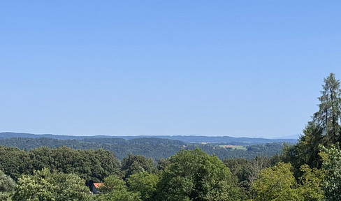 For sale by owner: Detached house with a separate apartment, situated on a spacious plot of land (requiring renovation).