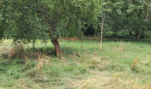 Large, centrally located plot of land with building restrictions and a positive preliminary building permit in Hitzacker (Elbe).