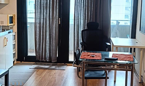 1-Zimmer Appartement in Frankfurt Sachsenhausen-Süd (möbliert)