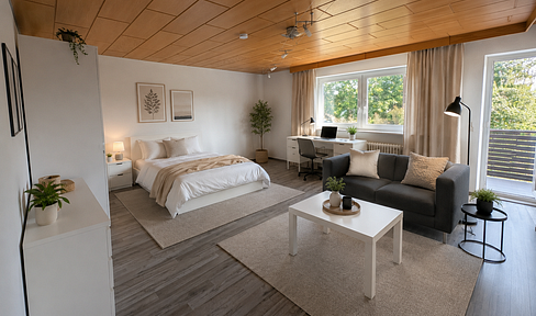 High-quality micro-apartment + student room, everything brand new and furnished.