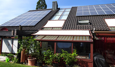 Large maisonette apartment with garden and pond.