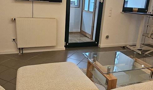 Fully furnished 2-room apartment, NEW, all costs included, "all-inclusive," with a living/kitchen area, a home office corner, a terrace, and a separate apartment.