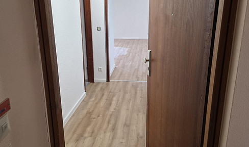 Newly renovated 1-room apartment with a conservatory and parking space in Ludwigsburg-Neckarweihingen.