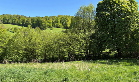 großzügiges Grundstück mit einzigartigem Blick