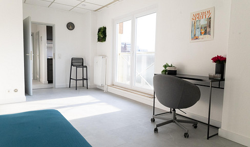 First occupancy after renovation – furnished one-room apartment with parking space.