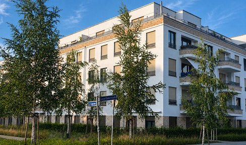 Apartment in the attic with penthouse-like features.