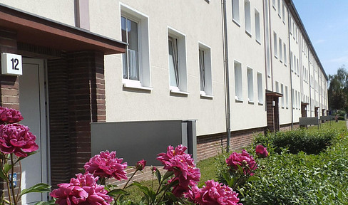 2-room apartment / City West district / 62 square meters.