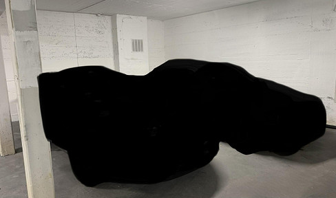 Never worry about finding a parking spot again - parking space available in an underground garage in Schwetzingerstadt.