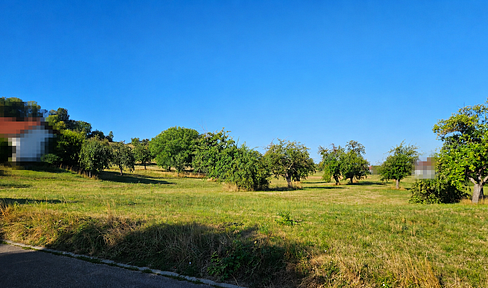 Sonniges Grundstück - mit Blick ins Grüne und guter Nachbarschaft