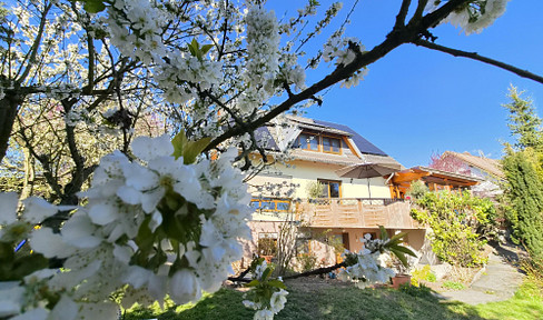 Energieeffizientes, modernes Einfamilienhaus in Plauen-Neundorf mit unverbaubarem Fernblick