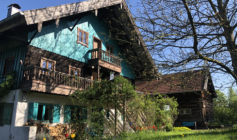 Modernized farmhouse with numerous possibilities, situated on a large plot of land.
