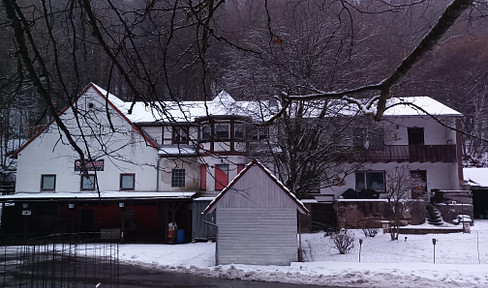 Außergewöhnliches Sanierungs- und Entwicklungsobjekt in ruhiger Lage nahe Kulmbachs Zentrum