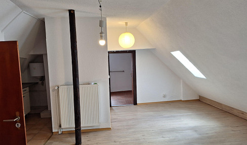 Two-room apartment for rent in Neuhausen.