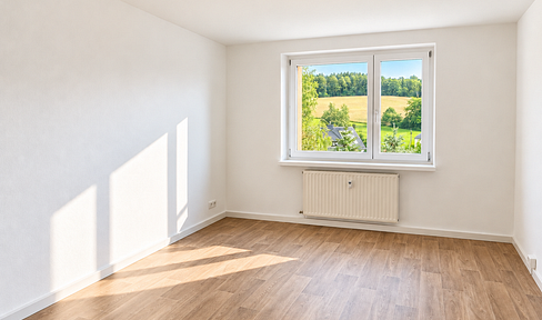 Beautifully renovated 2-room apartment with a large balcony and stunning views, located in Thum.