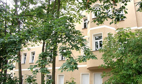 DG Wohnung mit großer Terrasse und Kamin!!!
