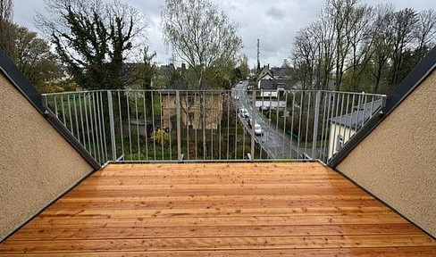 Spacious 5-room apartment with a south-facing rooftop terrace, fireplace connection, located near the zoo and Rabenstein Forest.