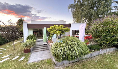 Mid-Century Modern dream, newly renovated in a green oasis.