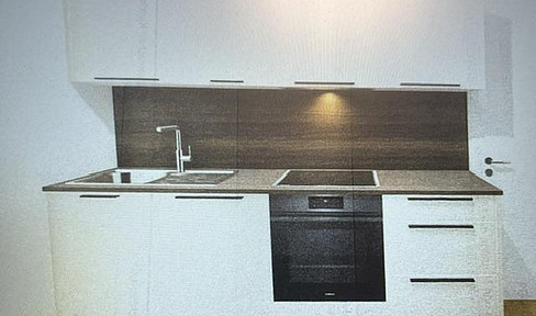 4-room apartment, newly renovated, available immediately, for rent by private owner.