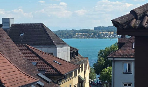 A TRULY UNIQUE OPPORTUNITY ON LAKE CONSTANCE.