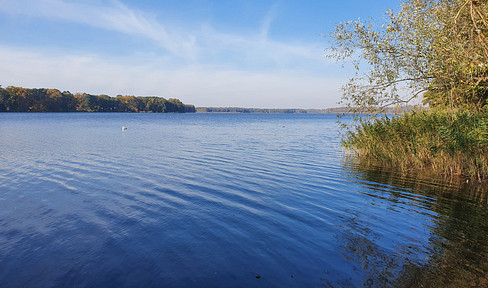 Motzen, by the lake: Bright, quiet 2-room attic apartment on the 1st floor with a view of the greenery, fitted kitchen, large balcony.