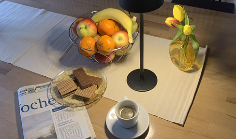 Premium-Wohnung, Top-Lage, ruhig, renoviert, gedämmt
