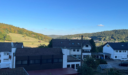 3.5-room apartment with a large balcony, fireplace, and air conditioning in Wilhelmsfeld (KD096 - WFJW86-2).