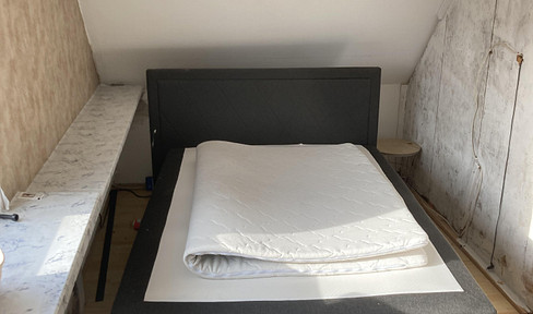 Large 1-room apartment with separate kitchen.