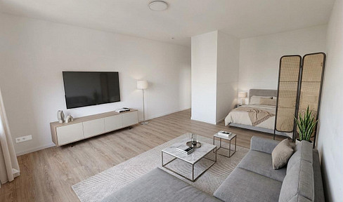 Charmantes 1,5 Zimmer Appartment mit Pantry Küche und KFZ Stellplatz - Frei nach Absprache