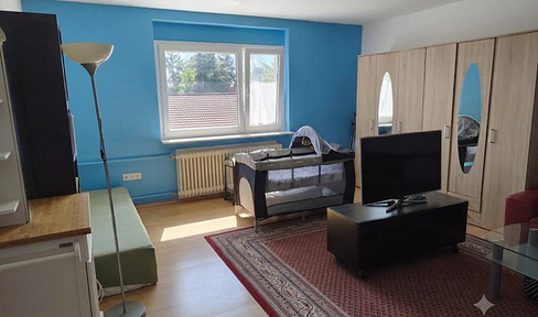 Spacious one-bedroom apartment.