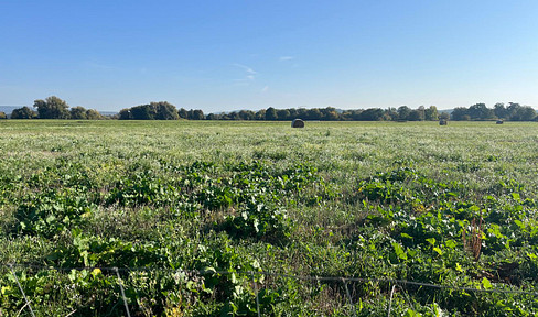 Grundstück Ackerland Wässerwiese in 1a-Aue-Lage – 53.600 m² (5,36 ha) bei Baiersdorf – gegen Gebot