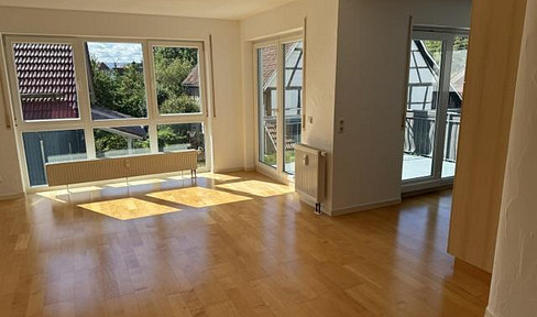 Stilvolle sonnendurchflutete 3,5 Zimmer-Wohnung mit zwei Balkonen in SW-Lage plus Parkplatz