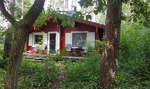 Zwei Blockbohlenhäuser Häuser im Wald, Ferienvermietung & Wohnen im Biosphärenreservat Elbtalaue