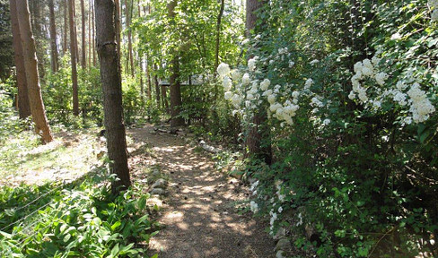 Zwei Blockbohlenhäuser Häuser im Wald, Ferienvermietung & Wohnen im Biosphärenreservat Elbtalaue