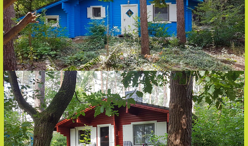 Zwei Blockbohlenhäuser Häuser im Wald, Ferienvermietung & Wohnen im Biosphärenreservat Elbtalaue