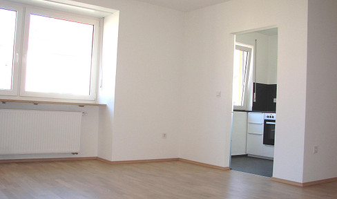 MODERN + HELL + HOCHWERTIG - 1-Zimmer-Wohnung mit Einbauküche