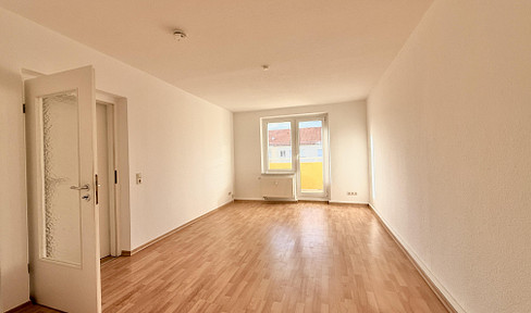 Bright 2-room apartment with a balcony and a view of the Elbe riverbanks.