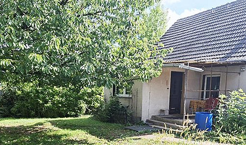 Farm with a house and barn, located on an island, for sale in Wustrow/Oderbruch, without commission.