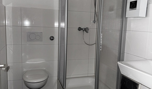 Charming city apartment: Newly renovated and ready to move in.