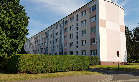2-room apartment in Neukieritzsch, €330 per month (cold rent).
