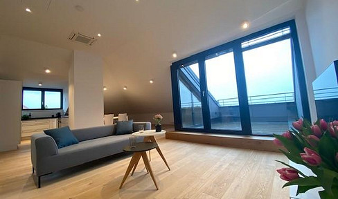Dreamlike penthouse apartment with a rooftop terrace.