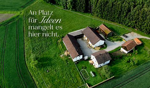 Charming cottage/farmhouse in a completely secluded location, right on the edge of the forest.