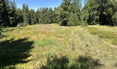 Ländliches Paradies/ Wald-Wiese-Wasser