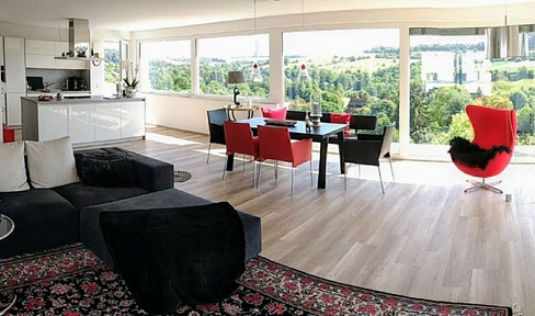 Dreamlike penthouse apartment overlooking the rooftops of Ulm – modern, practically new, and energy-efficient.