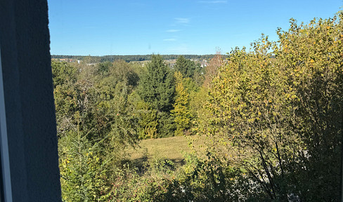 Renovated 3-room apartment with fitted kitchen in Altensteig.