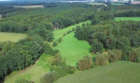 #KONKURRENZLOSER KAMPF-PREIS#GIGANTISCHES WALDGRUNDSTÜCK#HEIDEREGION+3 HÄUSER GRATIS DAZU#SIEHE TEXT