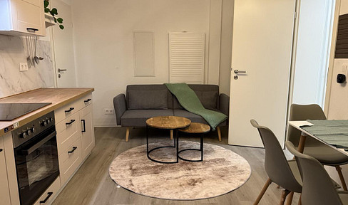 Fully furnished 1.5-room apartment (renovated) with a terrace, located in a prime location in Leimen.
