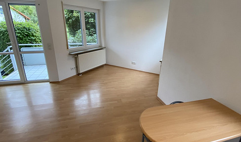 Beautiful one-bedroom apartment with a balcony in Mönsheim! Just 5 minutes from the Porsche Center!