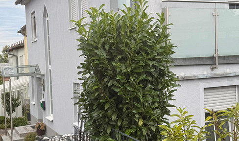 Detached house with a separate apartment.