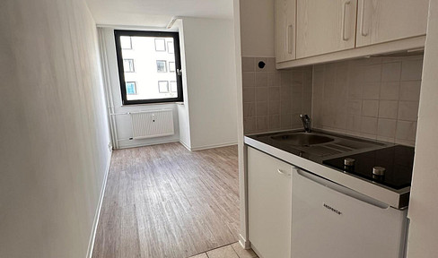 Bright | Calm | Modern kitchen (EBK - "Einbauküche," meaning built-in kitchen) | Stylish