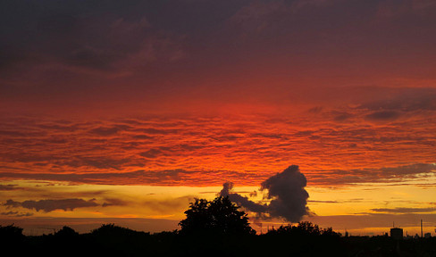 Living above the rooftops of Bremen's New Town - a modernized 4-room apartment with stunning sunset views!